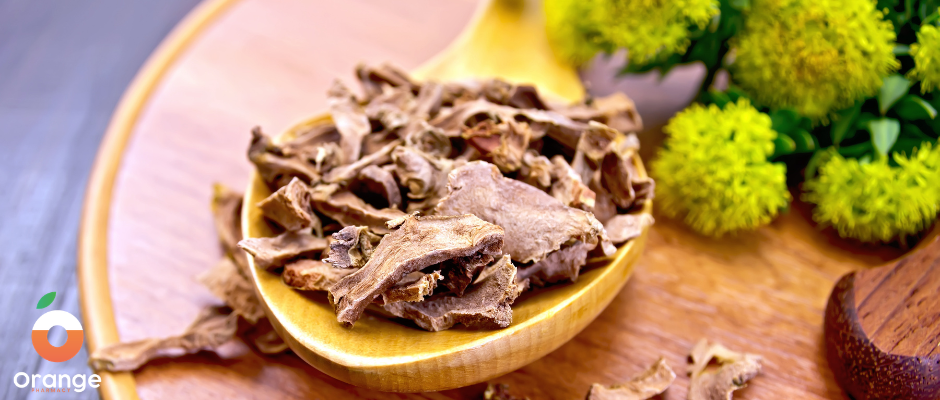 Adaptogens για Στρες και Κόπωση: Τι Είναι, Πώς Δρουν και Ποιο να Επιλέξεις