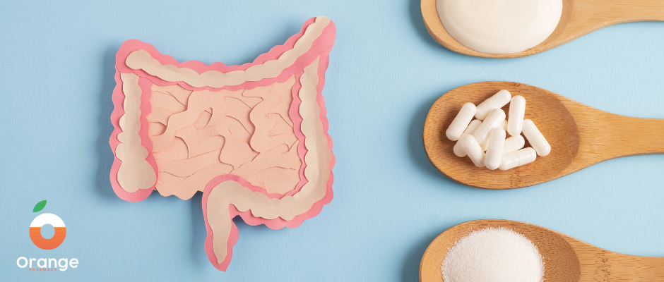 Πεπτικό σύστημα σε ισορροπία: πώς βοηθούν τα προβιοτικά και οι φυτικές ίνες