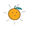 ORANGE PRODUCTS