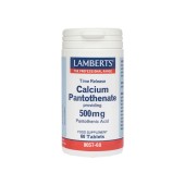 Lamberts Calcium Pantothenate 500Mg Time Release 60 Ταμπλέτες (B-5)