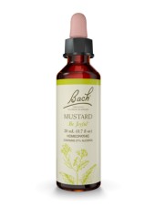 Power Health Bach Mustard 20 ml