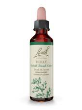 Power Health Bach Holly 20 ml