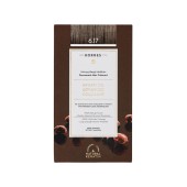 Korres Argan Oil Advanced Colorant 6.17 Σκούρο Ξανθό Μπεζ Μόνιμη Βαφή Μαλλιών 1τμχ