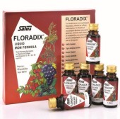 Power Health Floradix 10 X 20 ml