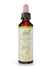 Power Health Bach Chestnut Bud 20 ml