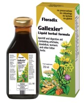 Power Health Floradix Gallexier 250 ml