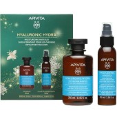 Apivita Promo Hyaluronic Hydra Σαμπουάν Ενυδάτωσης 250ml & Κρέμα Μαλλιών Ενυδάτωσης Χωρίς Ξέβγαλμα 100ml