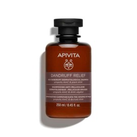 Apivita Dandruff Relief Δερματολογικό Σαμπουάν Κατά Της Λιπαρής Πιτυρίδας Με Propolis AmC & Φυτικό AHA 250ml